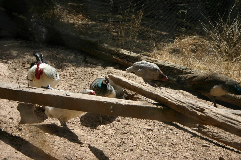 أورنوس Casas Rurales La Loma Del Carrascal المظهر الخارجي الصورة