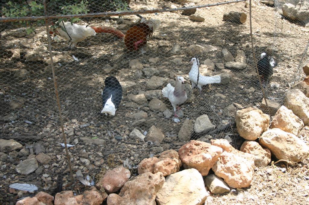 أورنوس Casas Rurales La Loma Del Carrascal المظهر الخارجي الصورة