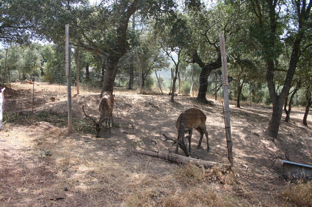 أورنوس Casas Rurales La Loma Del Carrascal المظهر الخارجي الصورة