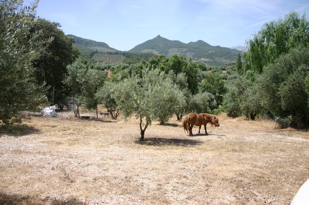 أورنوس Casas Rurales La Loma Del Carrascal المظهر الخارجي الصورة