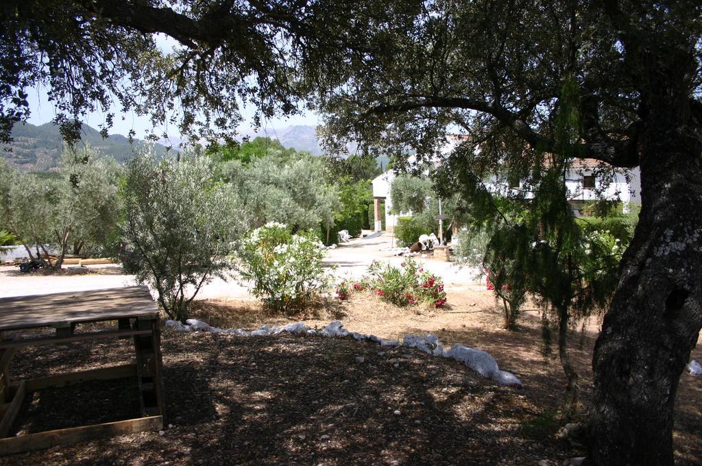 أورنوس Casas Rurales La Loma Del Carrascal المظهر الخارجي الصورة