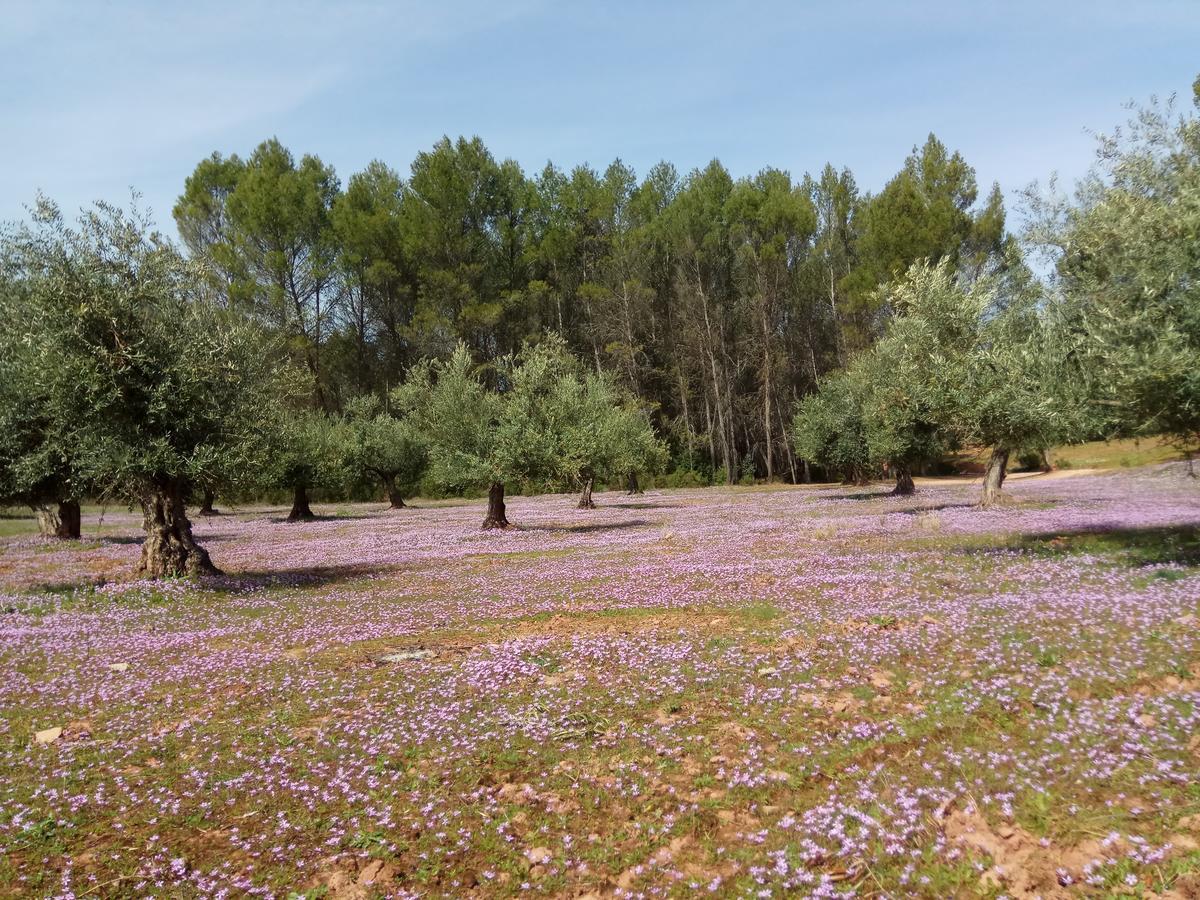 أورنوس Casas Rurales La Loma Del Carrascal المظهر الخارجي الصورة